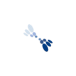 Blue Satin Homes_gif